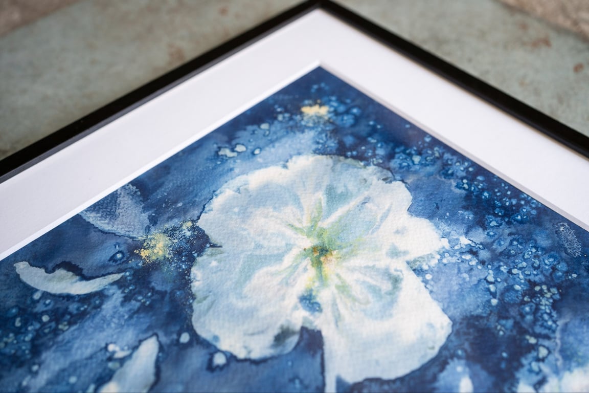 Cyanotype "Valmue #1" billede 3