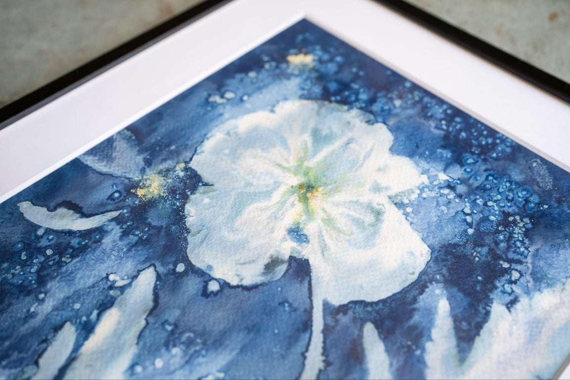 Cyanotype "Valmue #1" billede 2