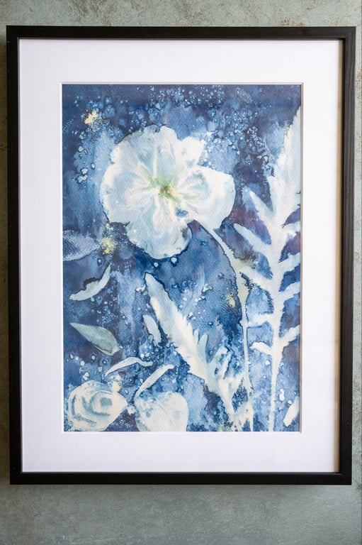 Cyanotype "Valmue #1"