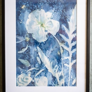Cyanotype "Valmue #1" – produktbillede