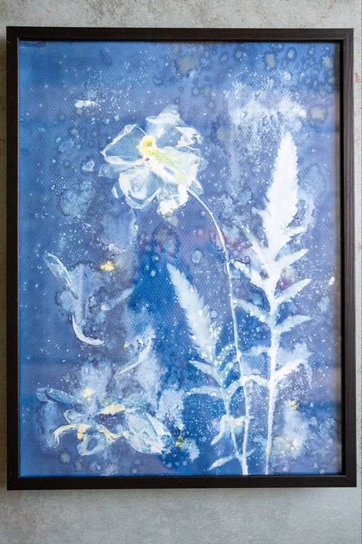 Cyanotype "Valmue #2"