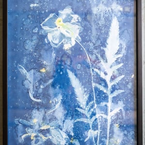 Cyanotype "Valmue #2" – produktbillede