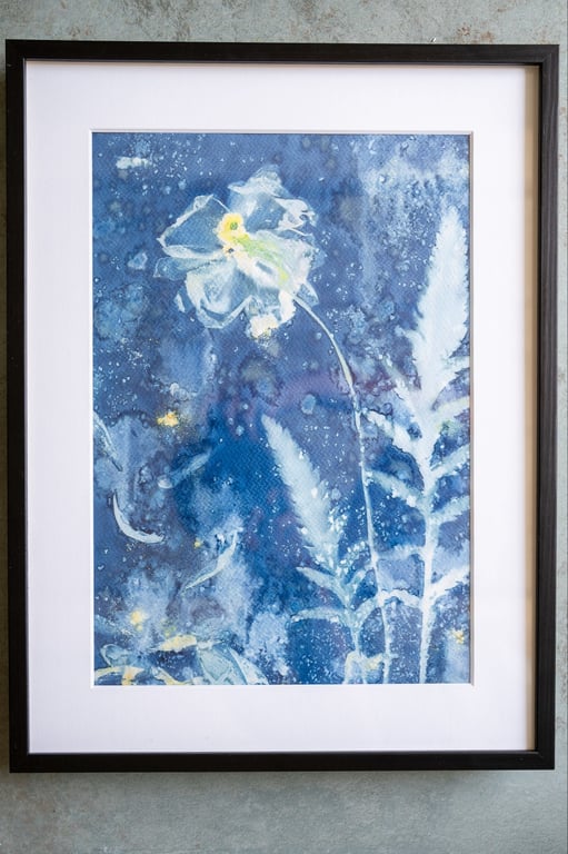 Cyanotype "Valmue #2" billede 5