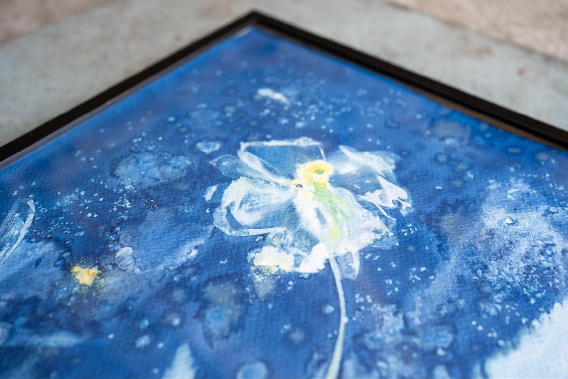 Cyanotype "Valmue #2" billede 2