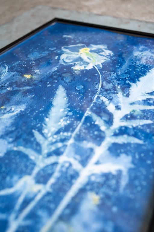 Cyanotype "Valmue #2" billede 4