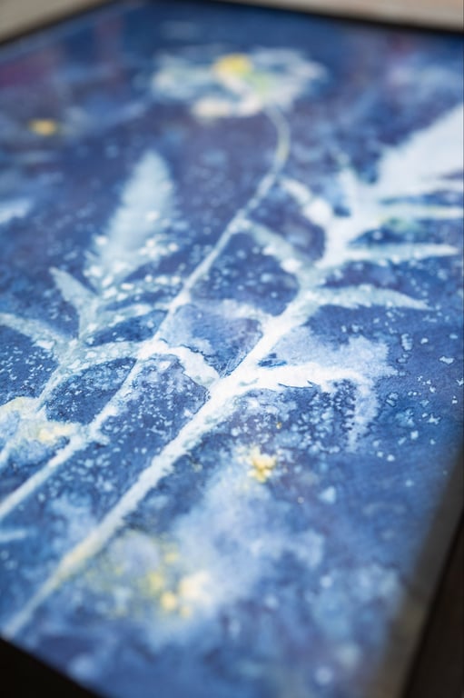 Cyanotype "Valmue #2" billede 3