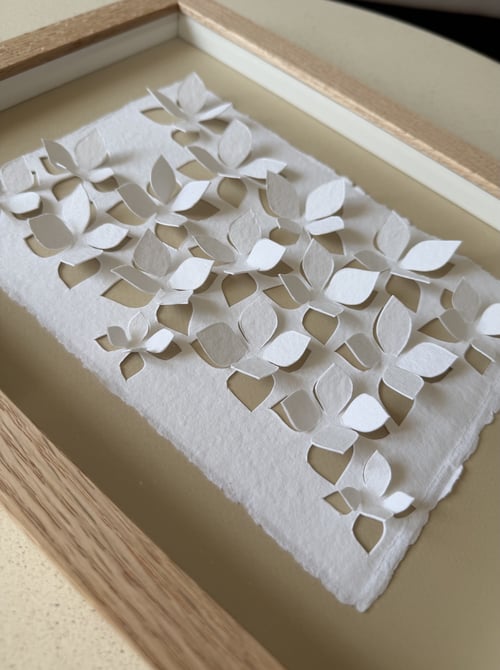 A4, 3D papercut, indrammet  (2)
