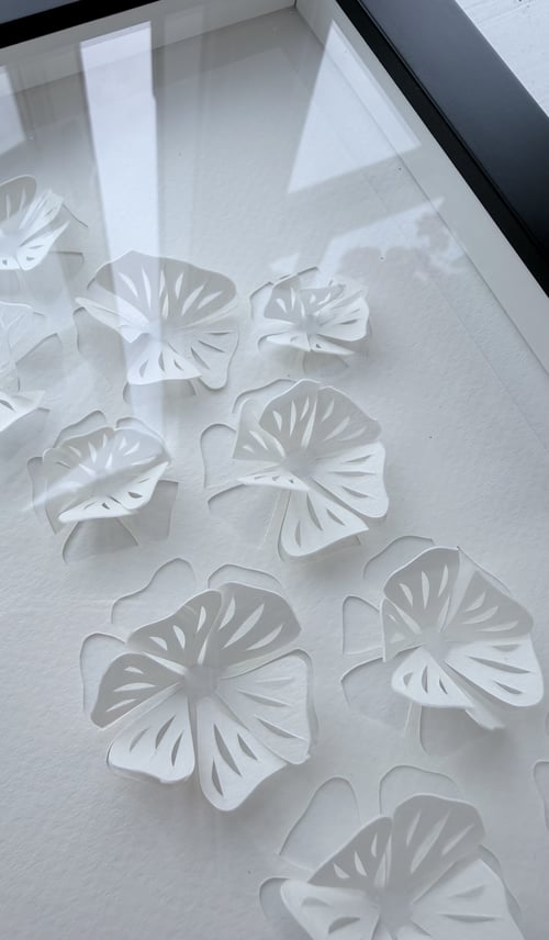 A5, 3D papercut, indrammet  (2)