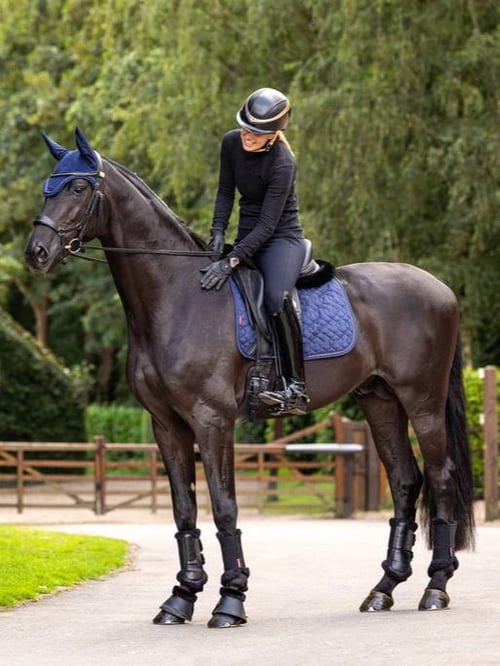 Lemieux/ Crystal Fly Hood  (3)