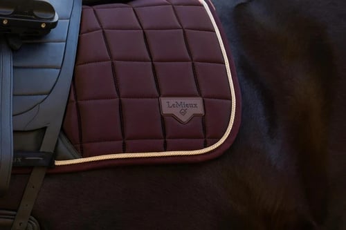 Lemieux/ Loire Classic Dressage Square Damson (3)