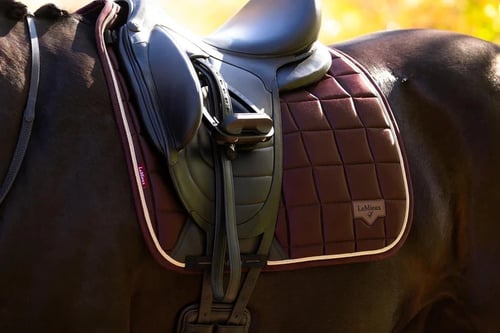 Lemieux/ Loire Classic Dressage Square Damson (2)