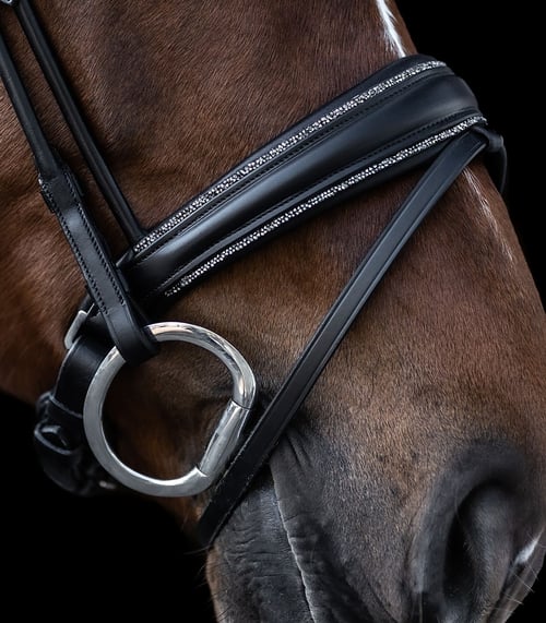 Waldhausen/ S-Line Trense Glamour (2)