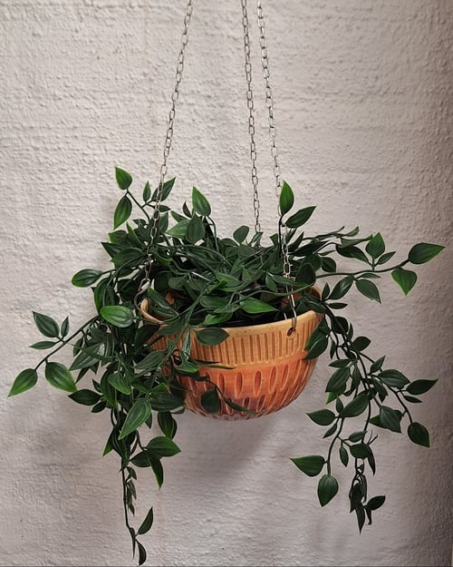 Hængende terrakottapotte med grøn plante mod hvid textured væg. (1)