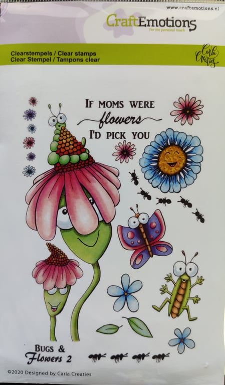 9 - Bugs and Flower 2