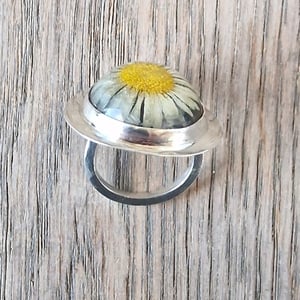 Tusindfryd sølv ring  – produktbillede