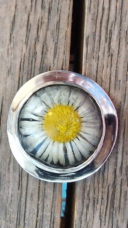 Tusindfryd sølv ring  billede 2