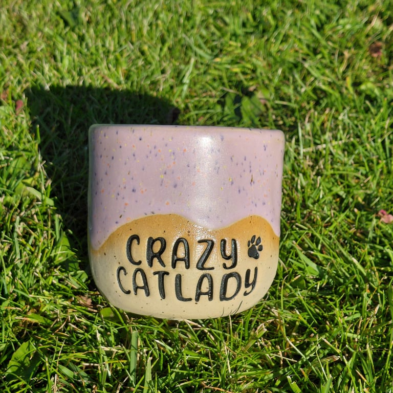 Crazy catlady lyslilla