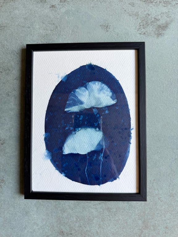 “Valmue #3” cyanotype