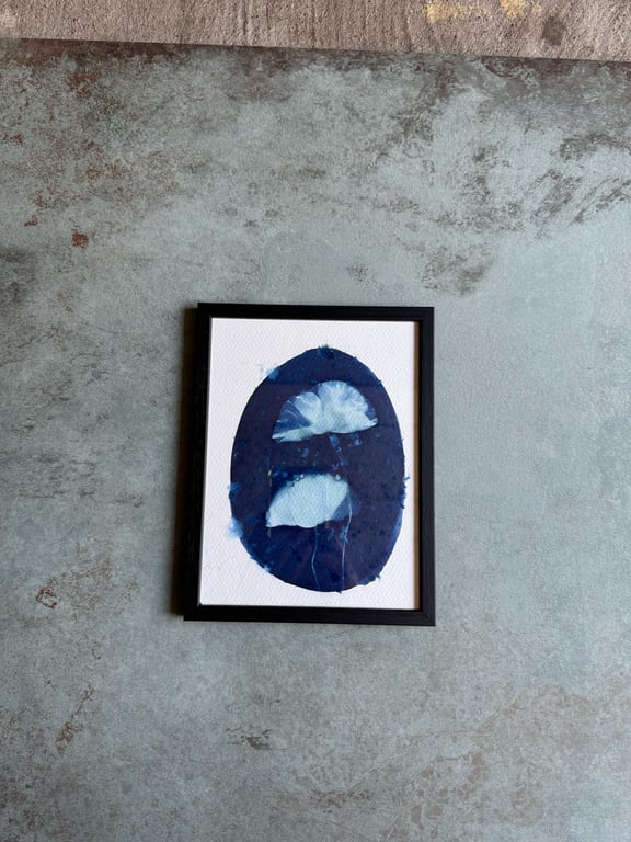 “Valmue #3” cyanotype billede 2