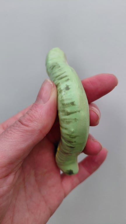 væghængt larve billede 4