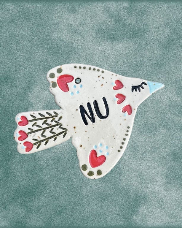 Nu-fugl