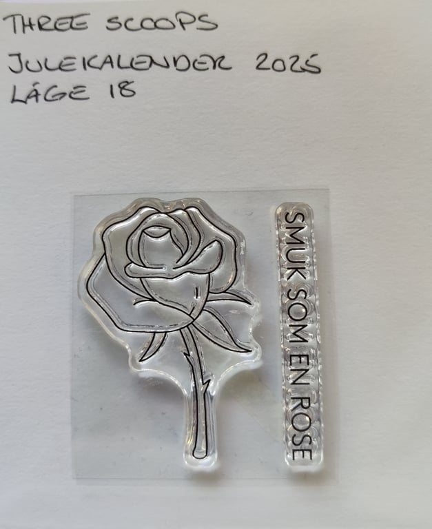 70 - Rose