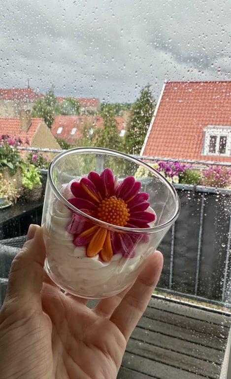 Sommerlys  billede 2