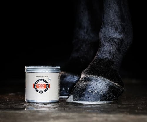 CDM/ Daily Hoof Balm (2)