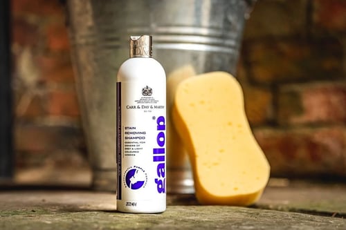 Flaske med Gallop pletfjerner shampoo og en gul svamp stående på en gulv med en metalspand og murstensvæg i baggrunden. (1)