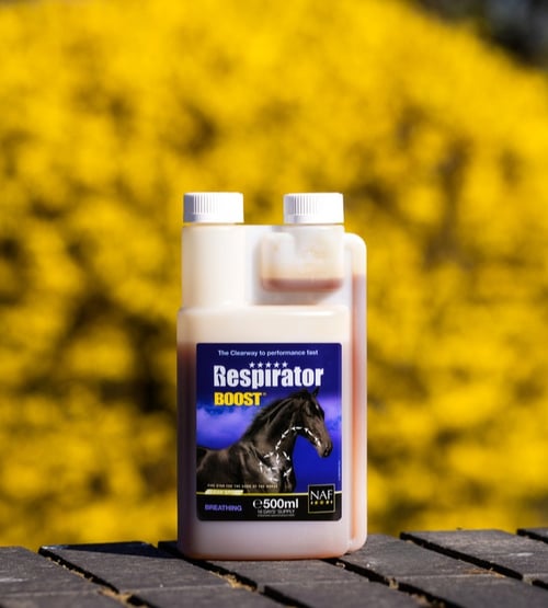 Flaske med NAF Respirator Boost hestetilskud placeret på et bord med en gul blomstrende baggrund. (1)