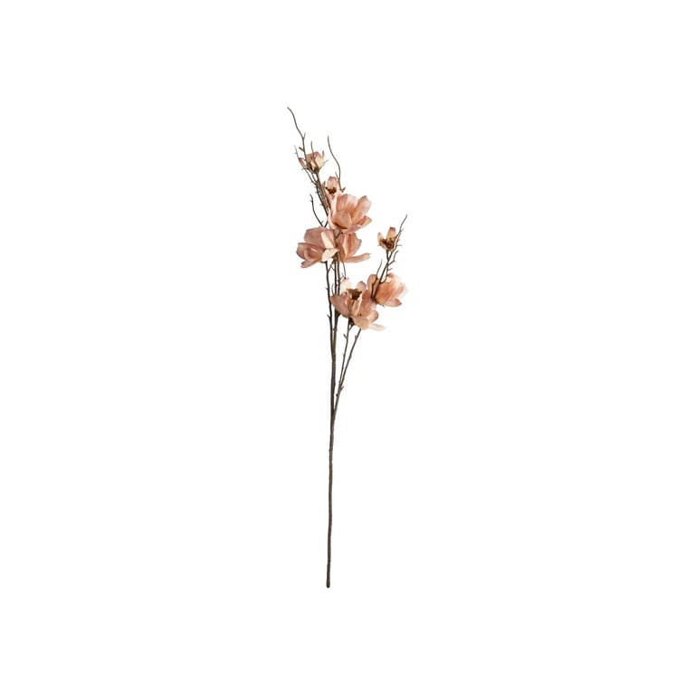 Cosmos