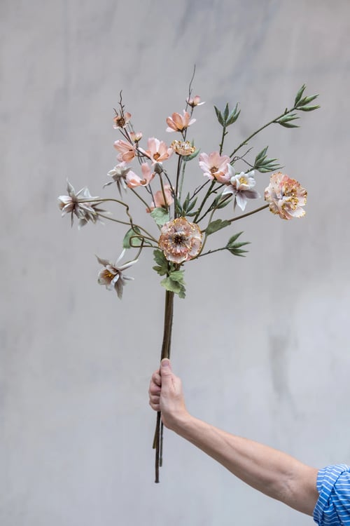 Cosmos (2)