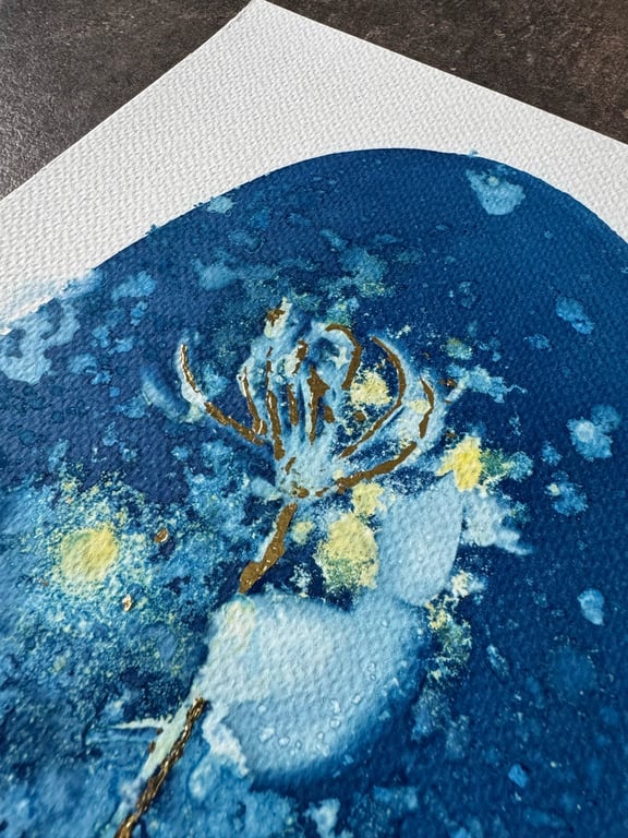Kaprifolie #1 Cyanotype  billede 2