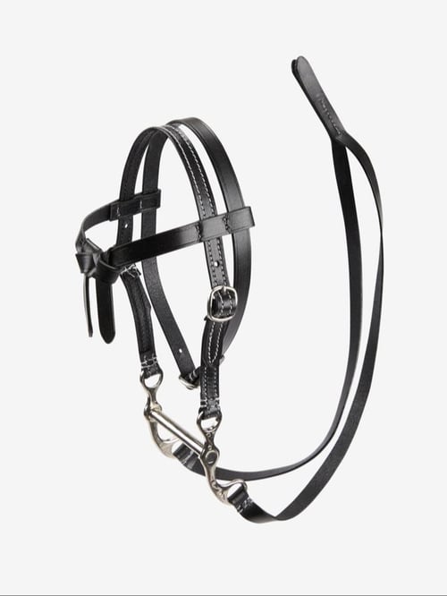 Lemieux/ Toy Pony - Western Trense  (1)