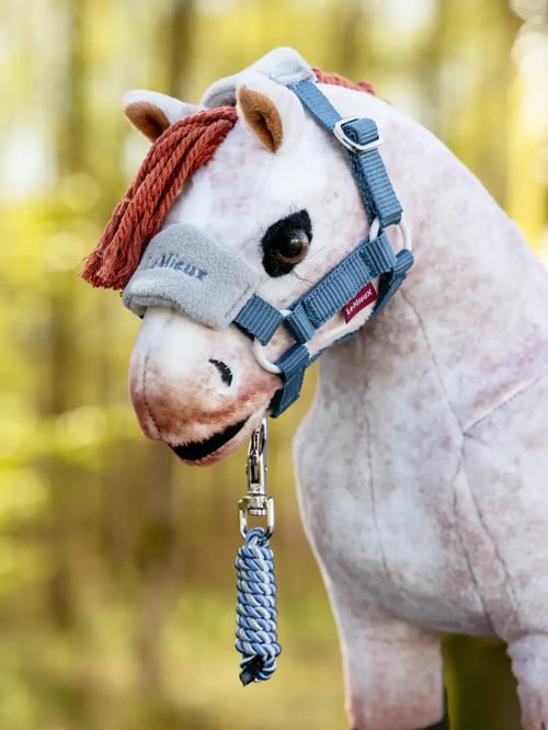 Lemieux/ Toy Pony Grime - Ice Blue (2)