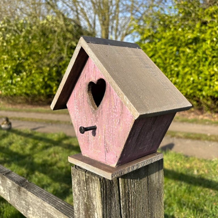Fuglehus - rødt med "hjerterum" billede 6