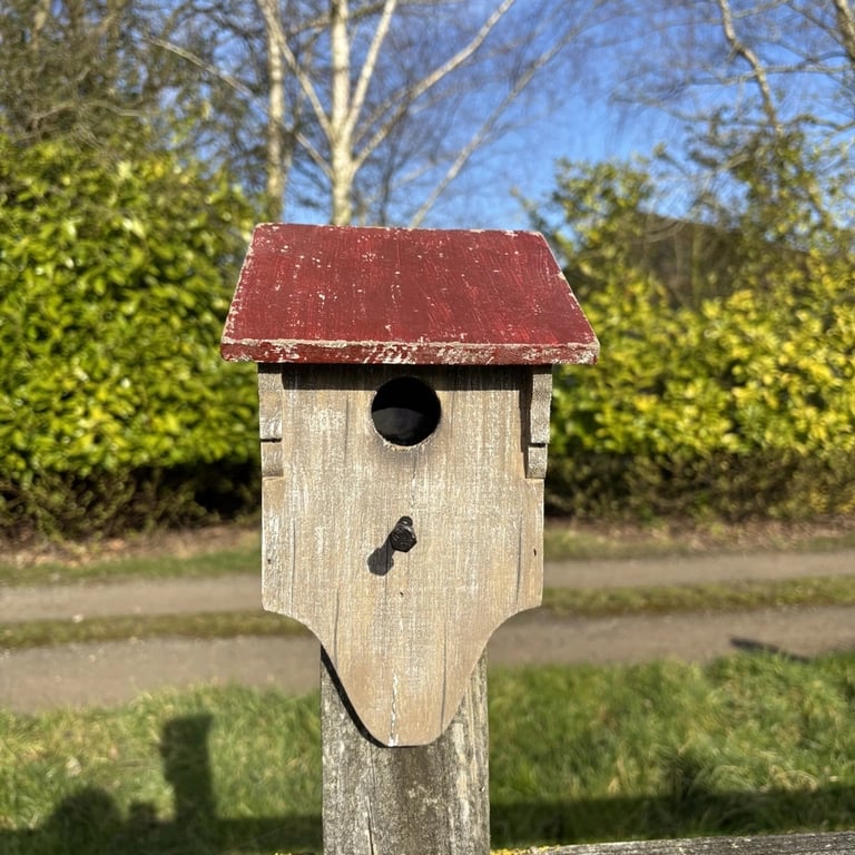 Fuglehus - med rødt tag billede 6