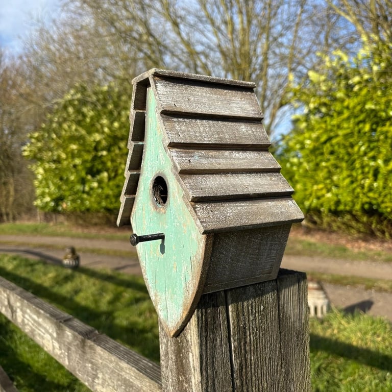 Fuglehus - patineret grønt billede 7