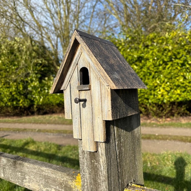 Ny sending på vej - Fuglehus - Vejrslidt med fine detaljer billede 7