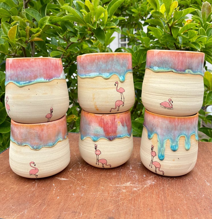 Cracks flamingo Tumblers