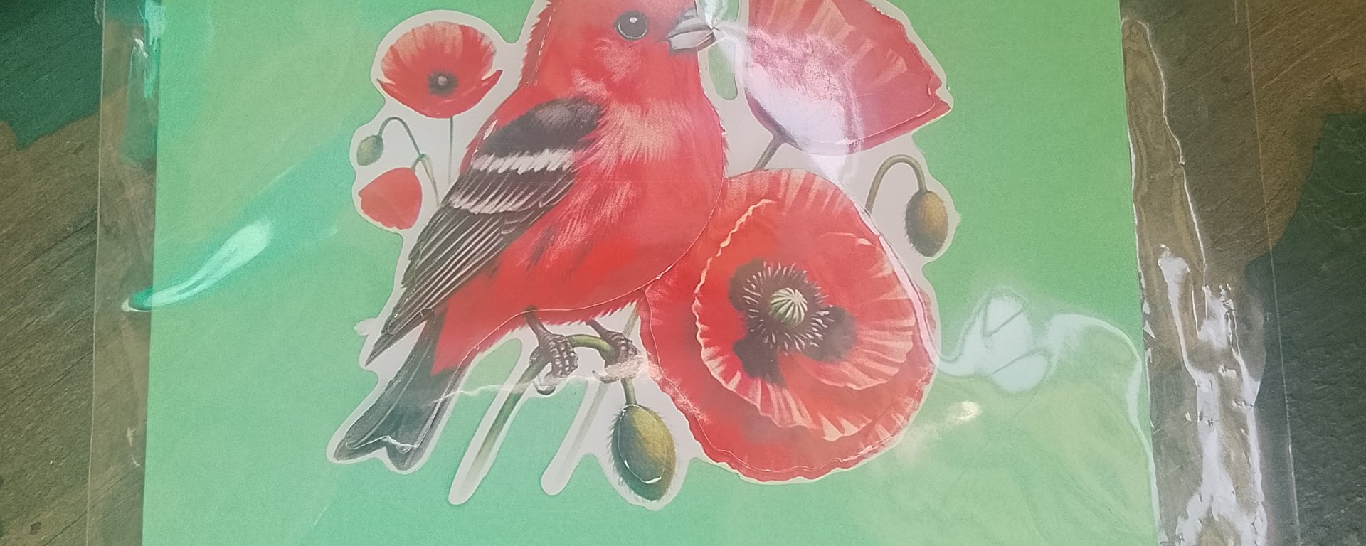 Velkommen