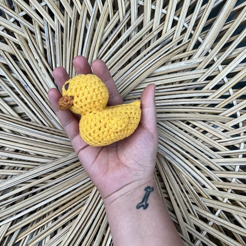 Ducky for your pocky (5)