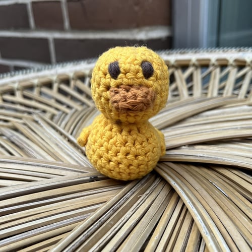 Ducky for your pocky (4)