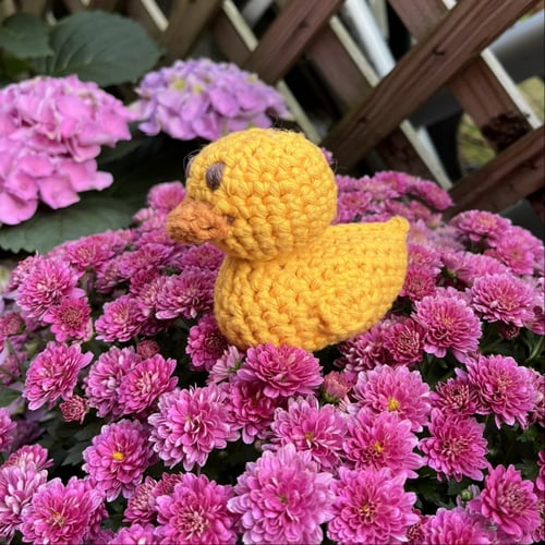 Ducky for your pocky (2)