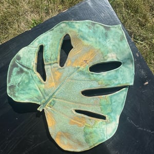 monstera blad – produktbillede