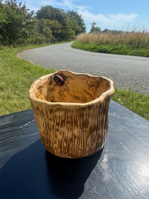 kantarelkop på mørkt ler