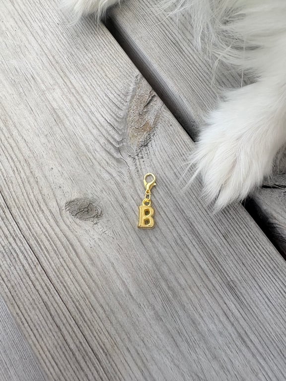 Hunde