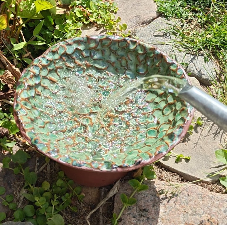 FUGLEBAD GREEN billede 2