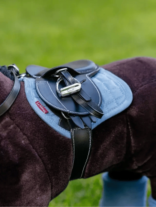 Lemieux/ Toy Pony Underlag - Ice Blue  (2)