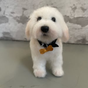 Din hund i uld  – produktbillede